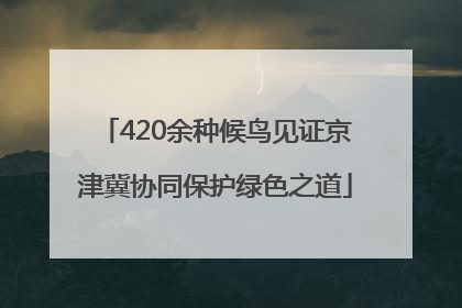 420余种候鸟见证京津冀协同保护绿色之道
