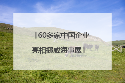 60多家中国企业亮相挪威海事展