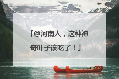 @河南人，这种神奇叶子该吃了！