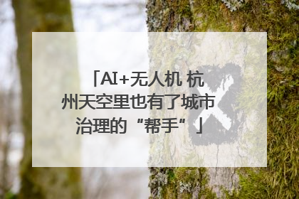 AI+无人机 杭州天空里也有了城市治理的“帮手”