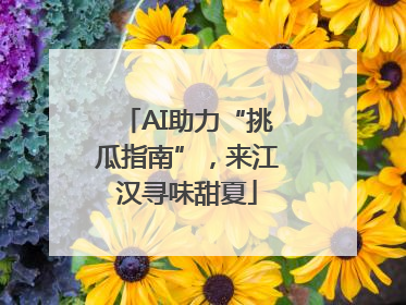 AI助力“挑瓜指南”，来江汉寻味甜夏