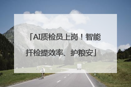 AI质检员上岗！智能扦检提效率、护粮安