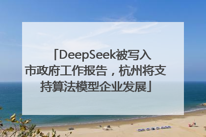 DeepSeek被写入市政府工作报告，杭州将支持算法模型企业发展