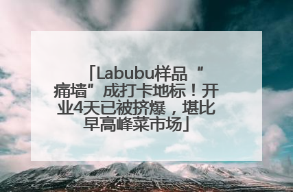 Labubu样品“痛墙”成打卡地标！开业4天已被挤爆，堪比早高峰菜市场