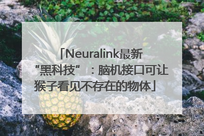 Neuralink最新“黑科技”：脑机接口可让猴子看见不存在的物体