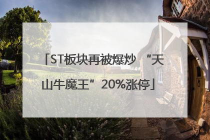 ST板块再被爆炒 “天山牛魔王”20%涨停