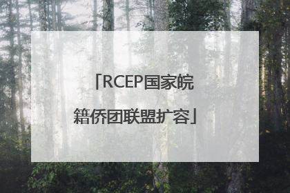 RCEP国家皖籍侨团联盟扩容