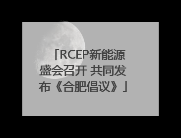 RCEP新能源盛会召开 共同发布《合肥倡议》