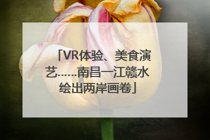 VR体验、美食演艺……南昌一江赣水绘出两岸画卷